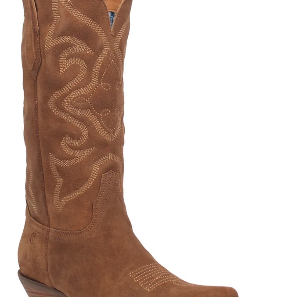 Brown Suede Embroidered Women's Boots